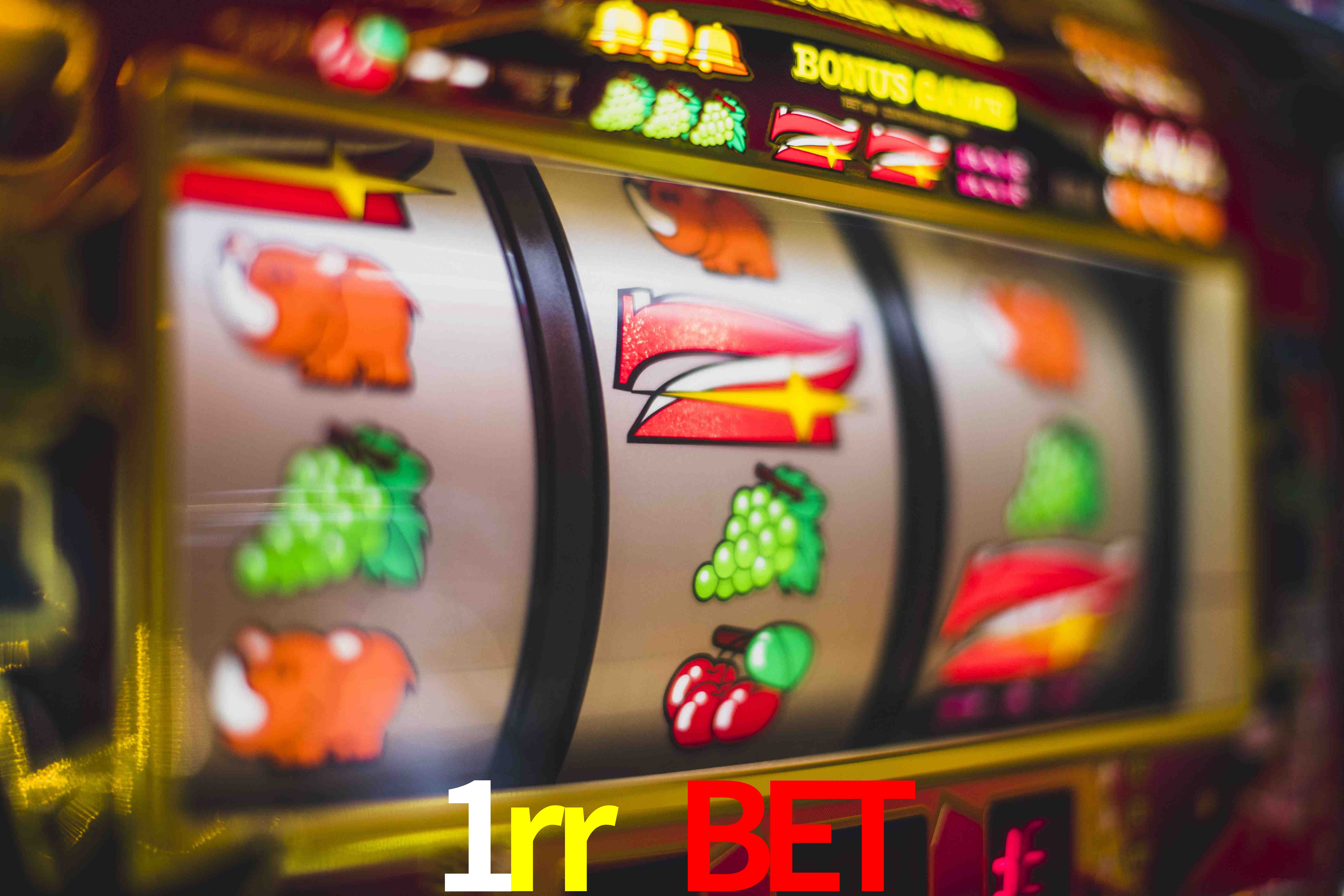 Sports Statistics 1rr bet